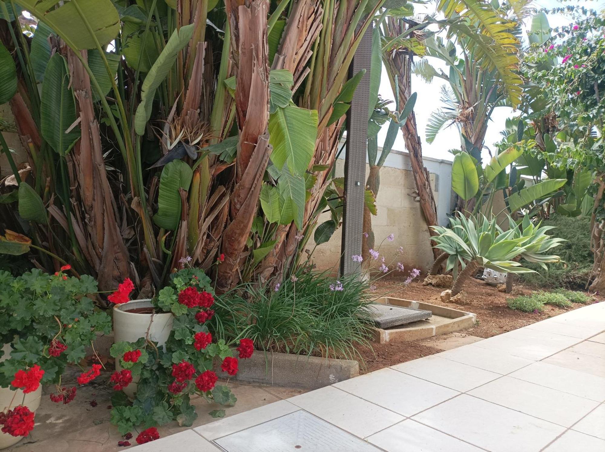 La Giara Resort Torre San Giovanni Ugento Ngoại thất bức ảnh